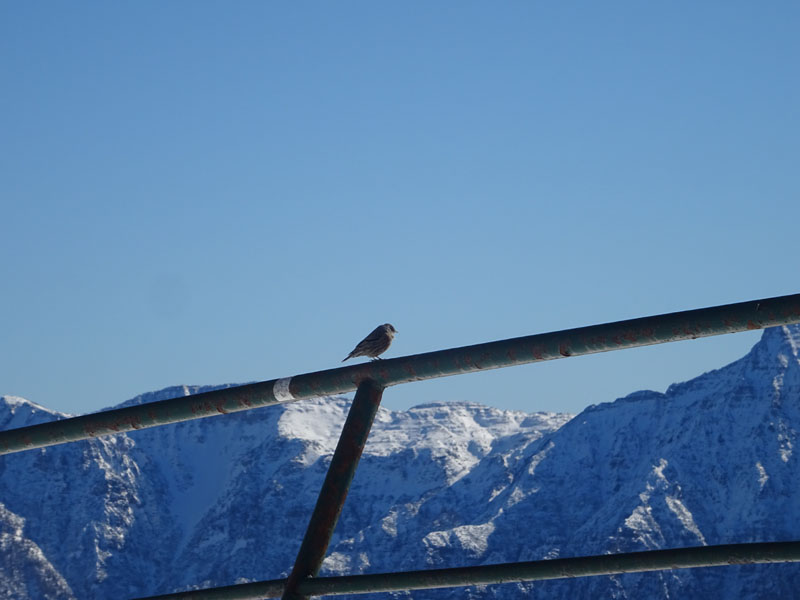 Catena dei Lagorai...da Pergine al Passo del Manghen